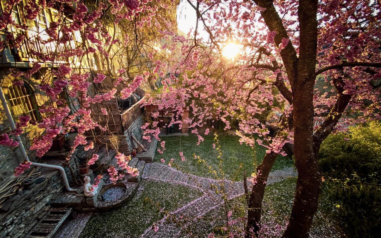 Gartenloft An Der Mur Мурау Экстерьер фото