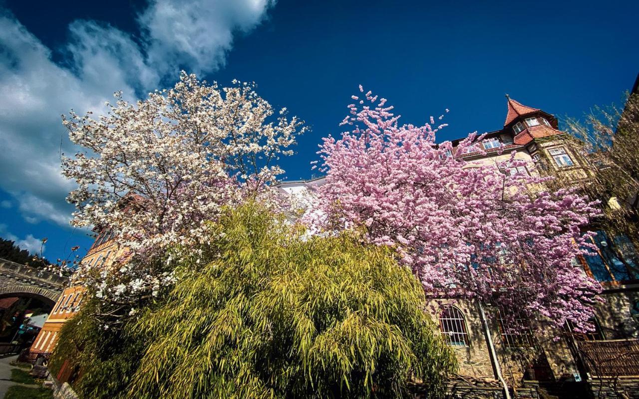 Gartenloft An Der Mur Мурау Экстерьер фото